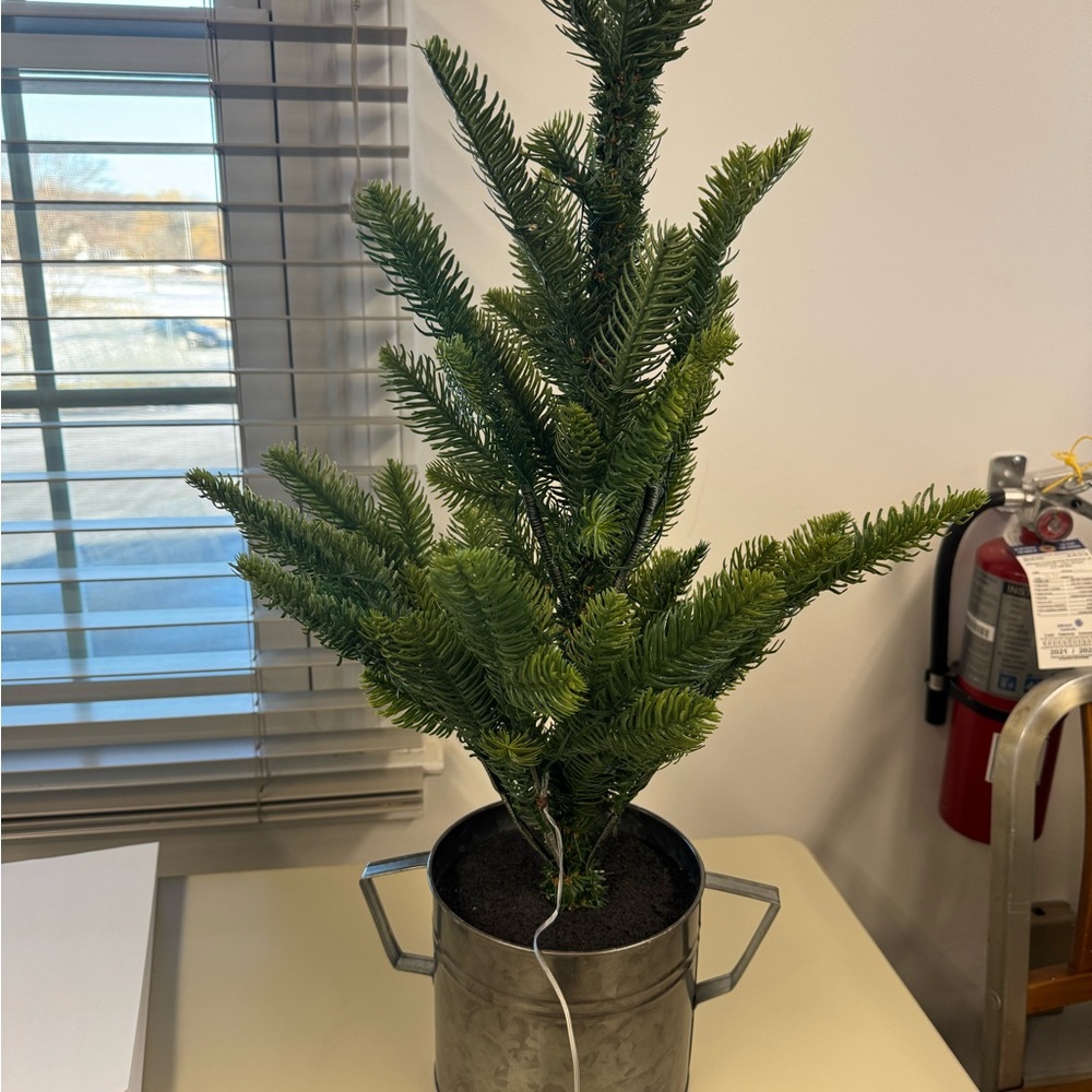 Wondershop Green Holiday Tree in Metallic Pot